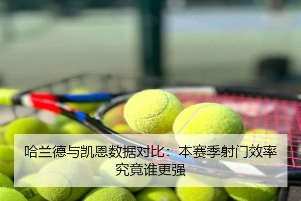 哈兰德与凯恩数据对比：本赛季射门效率究竟谁更强